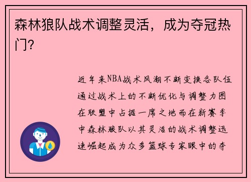森林狼队战术调整灵活，成为夺冠热门？